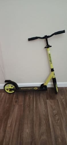 Move Out Sale-Roku TV 32", Oster Oven and La Scoota Bike 1