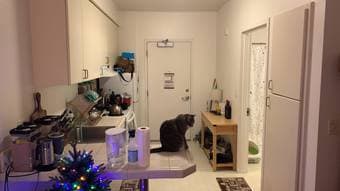 EV studio on campus for sublet (Oct 15 - December 31) 1
