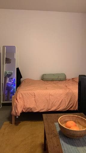 EV studio on campus for sublet (Oct 15 - December 31) 2