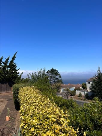 Available Now - Bedroom in Oceanview Pacifica House Available - Sublet 1