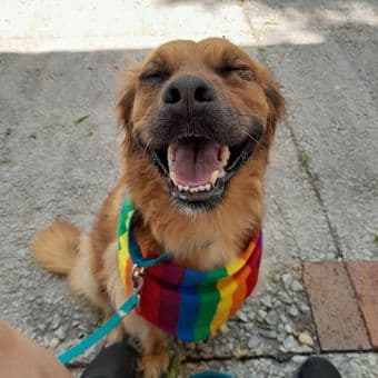 Visiting associate professor seeking sublet for January/February 1