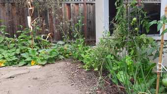 Room in lovely 3 room 3 bathroom house 4