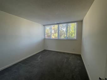 Stanford - 1b1b in a 2b2b apartment - available now - $1,750 @stanford 1