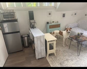 Sunny In-law studio cottage for Rent in midst of Atherton gardens 3