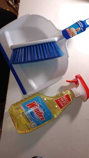 Cleaning products: dustpan, multisurface cleaner and garment steamer 4