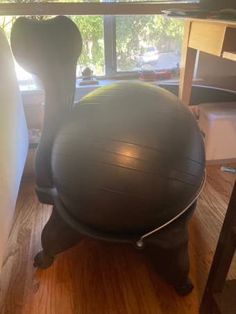 Gaiam Classic Balance Ball Office Chair 1