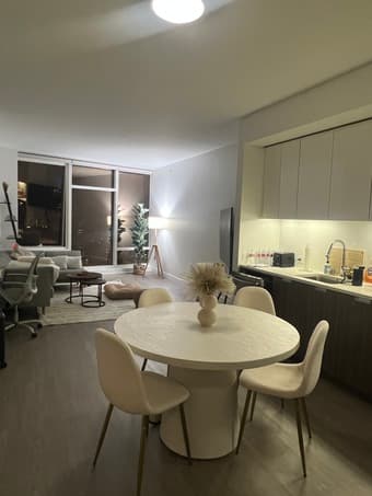 Sublet 1B1B luxury Apt in SF Dec 5th to Jan 3rd 1