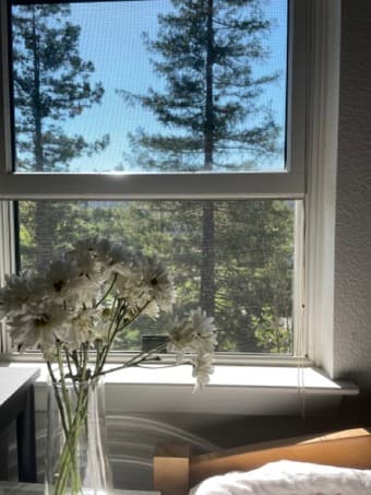 Lux EV Studio Holiday Sublet, Dec10 - Jan2, valued at $2300/mo 1