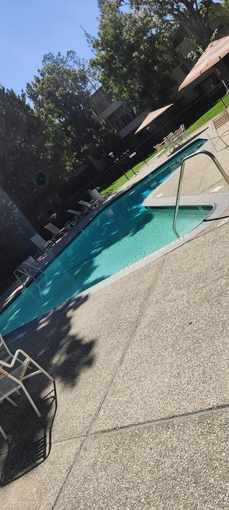 Temporary unfurnished room share for rent in a 2 bedroom apartment 2