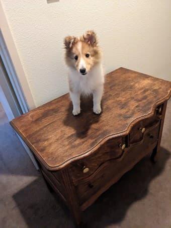 Two solid wood dressers / chest of draws for sale 1