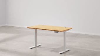 standing desk & ergo chair 1