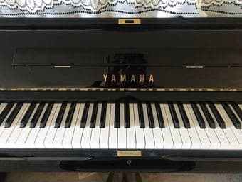 Yamaha Piano and 3 Bikes 4