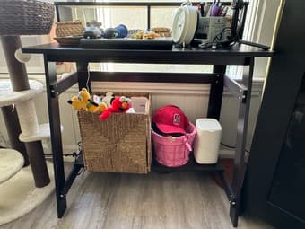 Desk (original cost $38 without tax) 2