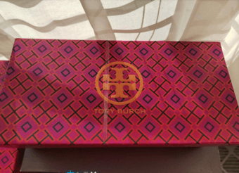 Tory Burch Charm Ballet(Brand new in original box and dust bag) 1