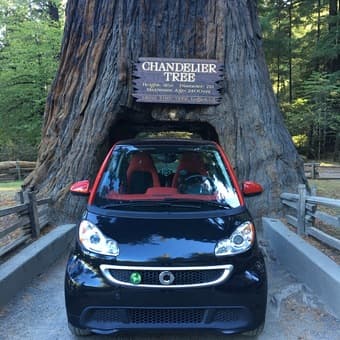 2014 Smart Car w/ Sport Package 1