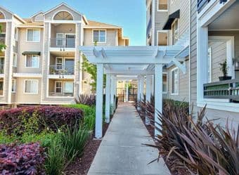 1 room in 2B2B available in Palo Alto 2