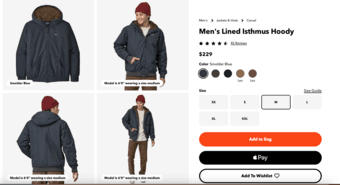 NEW Patagonia Men's Lined Isthmus Hoody (M) 3