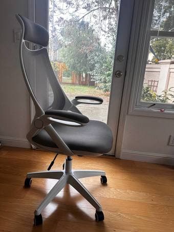 Professional Office Chair (excellent condition) 3