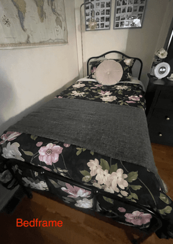 Couch and Bedframe For Sale 1