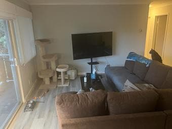 Room available for sublet, Mountain View, $1600 / month 3