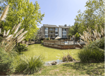 2 rooms available in a 3B2.5B House near San Antonio Shopping Center 1