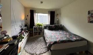 Room for Rent in Menlo Park near Downtown 3