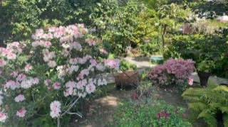 Room for Rent in Menlo Park near Downtown 4