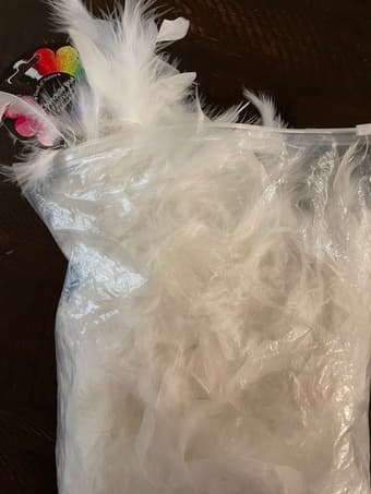 White boa 1