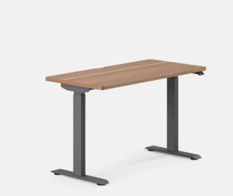 Duo Standing Desk 1