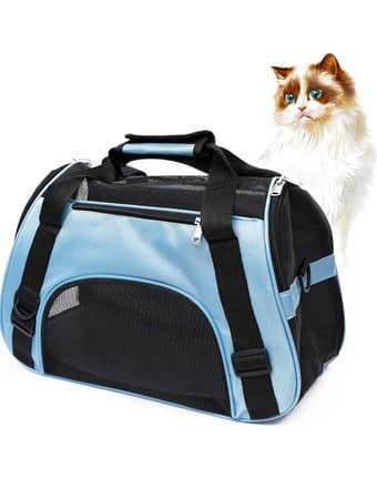 New cat carrier 1