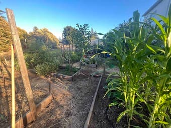 5 bed 2 bath Palo Alto home looking for two roommates. 4