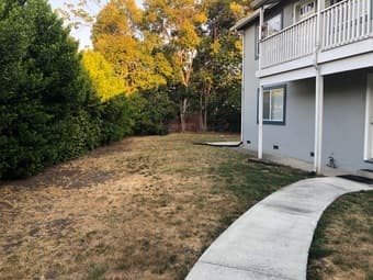 Cozy 1-bedroom Apartment in Menlo Park 1