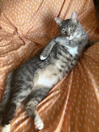 EV studio on campus for sublet (Spring quarter - early April to June) 4