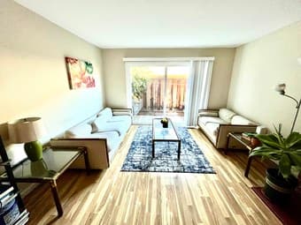 Mid-Century Modern Living Room Set 1