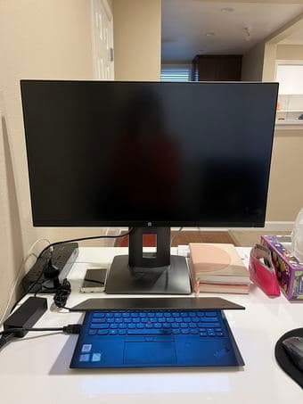HP Monitor 1