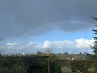 Live/work: large ADU + separate work studio (>1000sq ft) 1