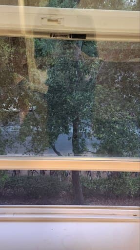 A quiet room in a 2 bedroom apartment at Rains, Stanford 2