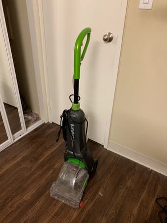 Vacuum (Pet Vacuum) 1
