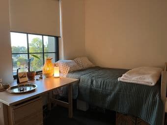 Clean, Modern, Spacious Summer Sublet: EVGR Premium Double Apartment 1