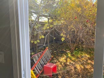 Cozy 1b1b Mini House with 500 sqf backyard in Redwood City 4