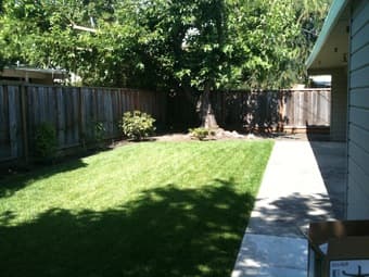 1 bed 1 bath 1375/month in a 4 bed 2 bath house available ASAP! 2