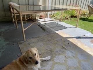 Serena & Lily Pacifica Outdoor Dining Table 2