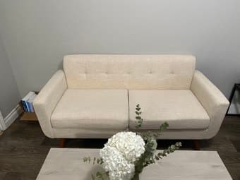 Mid Century Modern Decor Love Seat Couches 1