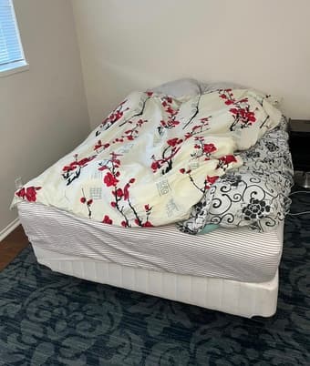 Bed: Full-size matress, stands and frame 1