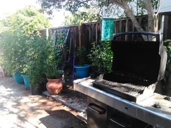 Furnished room in Redwood City 4