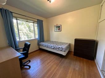 a room nest in a large backyard, nice and quiet Palo Alto house 2
