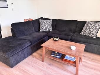 Wayfair Couch 2