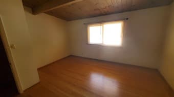 Huge room in the Willows 1