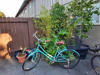 Bike Biria City series 1