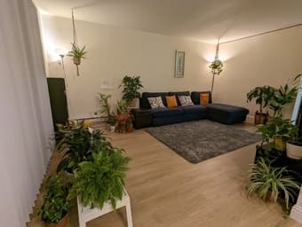 [Sublet] 1B/1B furnished apt in Sunnyvale (Aug - Sep 202) $95/night 2